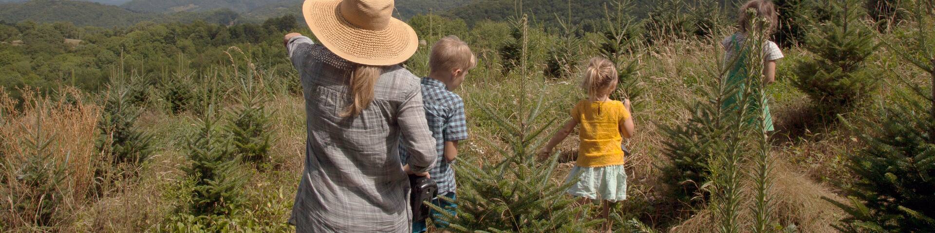 Mother and children exploring outdoors, rear view