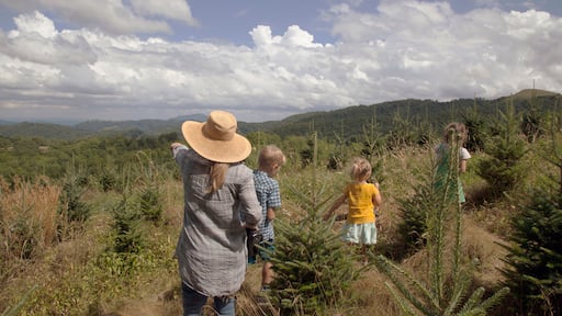 Una familia caminando en un bosque con cielo despejado.