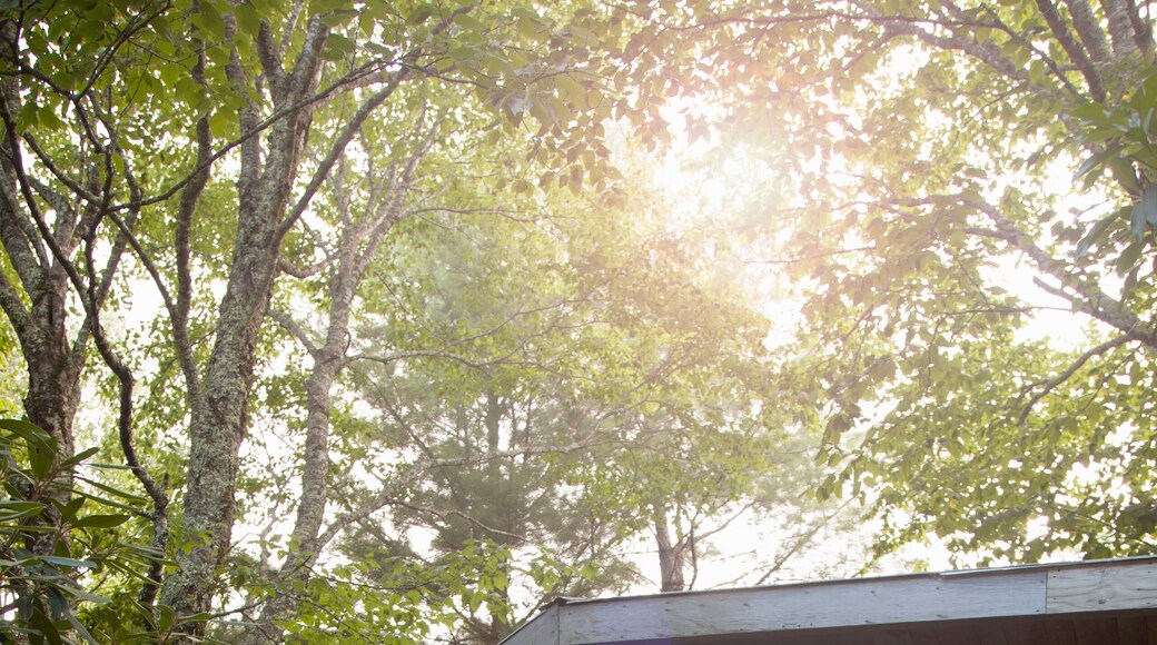 Mother and daughter standing outside wooden cabin