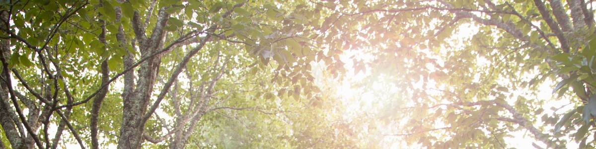 Mother and daughter standing outside wooden cabin