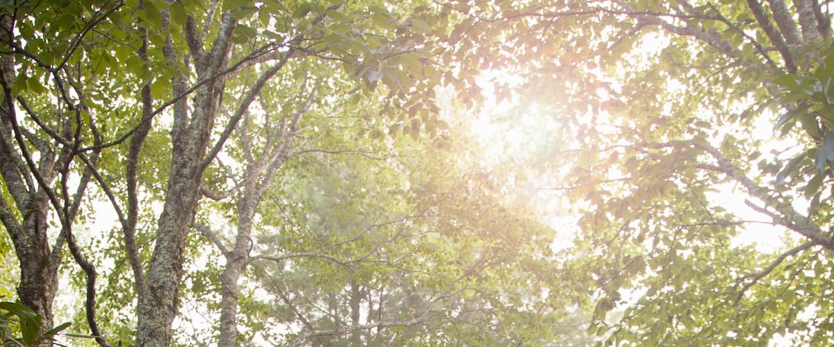 Mother and daughter standing outside wooden cabin