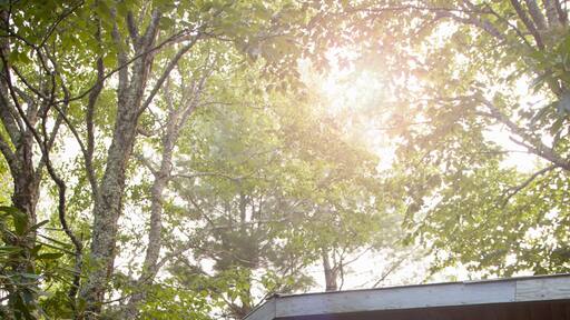 Mother and daughter standing outside wooden cabin