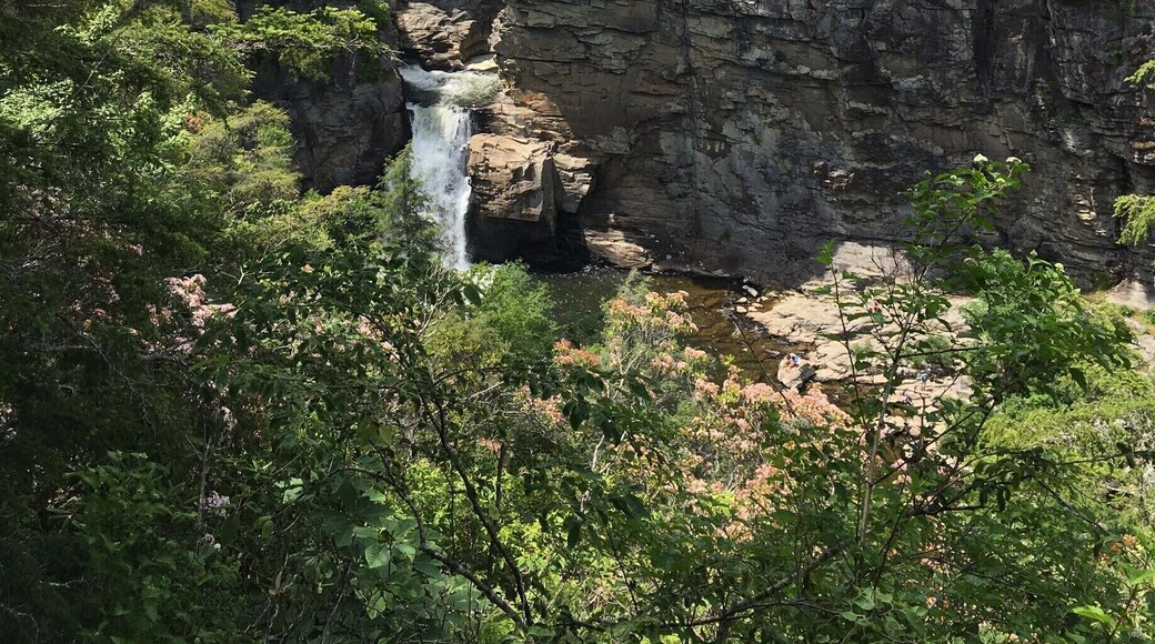 I took this picture over the summer at Linville falls. The first known inhabitants of the Linville Falls area were the Cherokee Indians. For me, this felt like walking back 200 years in the past and experience what the natives experienced. Everything is preserved so beautifully. You are not really very far from civilization but when you see this and experience it, it feels like you have gone back in time. Linville Falls is the most popular waterfall in the Blue Ridge Mountains. It’s beautiful as it frames the typical Appalachia scenery like mountains and waterfalls. The Falls Trail distance is around 1.5-ish miles’ round trip and easy. It captures the true essence of Appalachia. It is truly worth the visit! #appalachianechoes