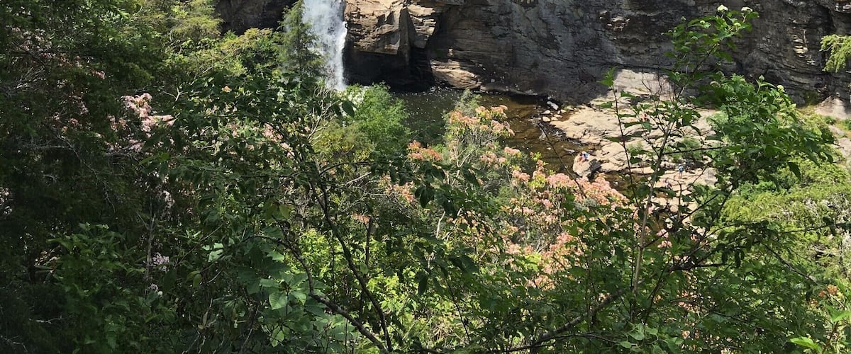 I took this picture over the summer at Linville falls. The first known inhabitants of the Linville Falls area were the Cherokee Indians. For me, this felt like walking back 200 years in the past and experience what the natives experienced. Everything is preserved so beautifully. You are not really very far from civilization but when you see this and experience it, it feels like you have gone back in time. Linville Falls is the most popular waterfall in the Blue Ridge Mountains. It’s beautiful as it frames the typical Appalachia scenery like mountains and waterfalls. The Falls Trail distance is around 1.5-ish miles’ round trip and easy. It captures the true essence of Appalachia. It is truly worth the visit!  #appalachianechoes