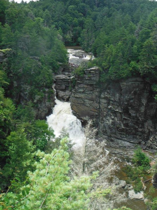 Another FREE, pet-friendly must-see site along the Blue Ridge Parkway, the hike up to Linville Falls can seem a bit steep if you are not overly outdoorsy. With several look out areas as rest stops, you can have a breather. The views keep you motivated to reach the highest look out, however, as the scenery gets better and better. This area is not wheelchair accessible, unfortunately, but well worth the hike for anyone who is interested!