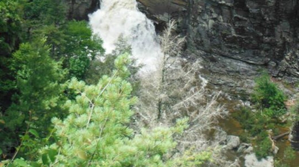 Another FREE, pet-friendly must-see site along the Blue Ridge Parkway, the hike up to Linville Falls can seem a bit steep if you are not overly outdoorsy. With several look out areas as rest stops, you can have a breather. The views keep you motivated to reach the highest look out, however, as the scenery gets better and better. This area is not wheelchair accessible, unfortunately, but well worth the hike for anyone who is interested!