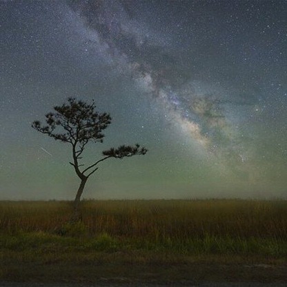 https://arjungupta.photography/#/gallery/surreality
I am fascinated by lone subjects and capturing them as part of a landscape. I guess subjects like that are a reflection of my own self, experiencing this life in their own subjective ways. This is a theme that occurs commonly in my images because it’s something I’m naturally drawn to.
Taken in the swampy grasslands of Eastern North Carolina, where trees are not very common, this one tree seems to be an exception in what is otherwise a marshy grassland. The skies here are wonderfully dark, devoid of the pollution of big city lights. The mist in the air, along with the Milky Way Galaxy, the airglow, and the streaking meteor together give the whole image a very surreal and impressionist feel.
Thank you for your support!
#NC #NorthCarolina #USA
#MilkyWay
#NightScape
#Astrophotography
#LoneTree
#Landscape
#outdoors
#roadtrip
#weekend
#bestof5
#colorful
#hiking
#Treetrove