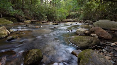 Rocky stream in North Carolina