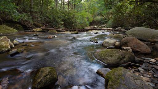 Rocky stream in North Carolina