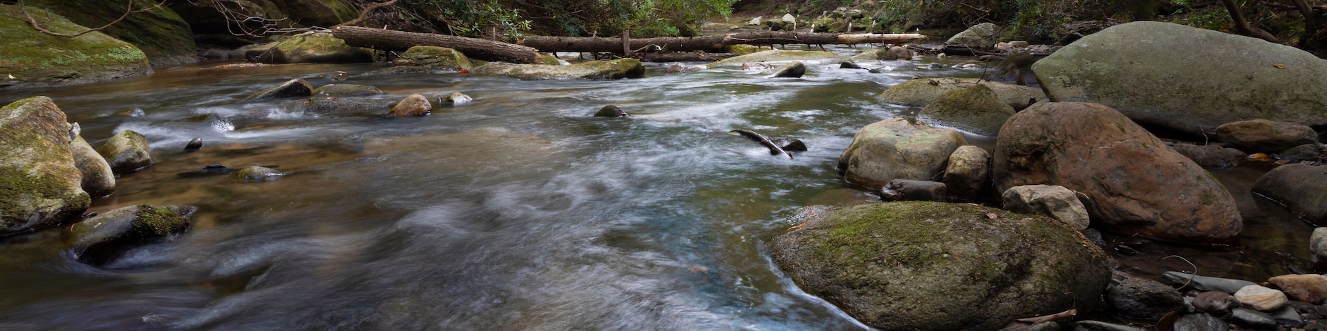 Rocky stream in North Carolina