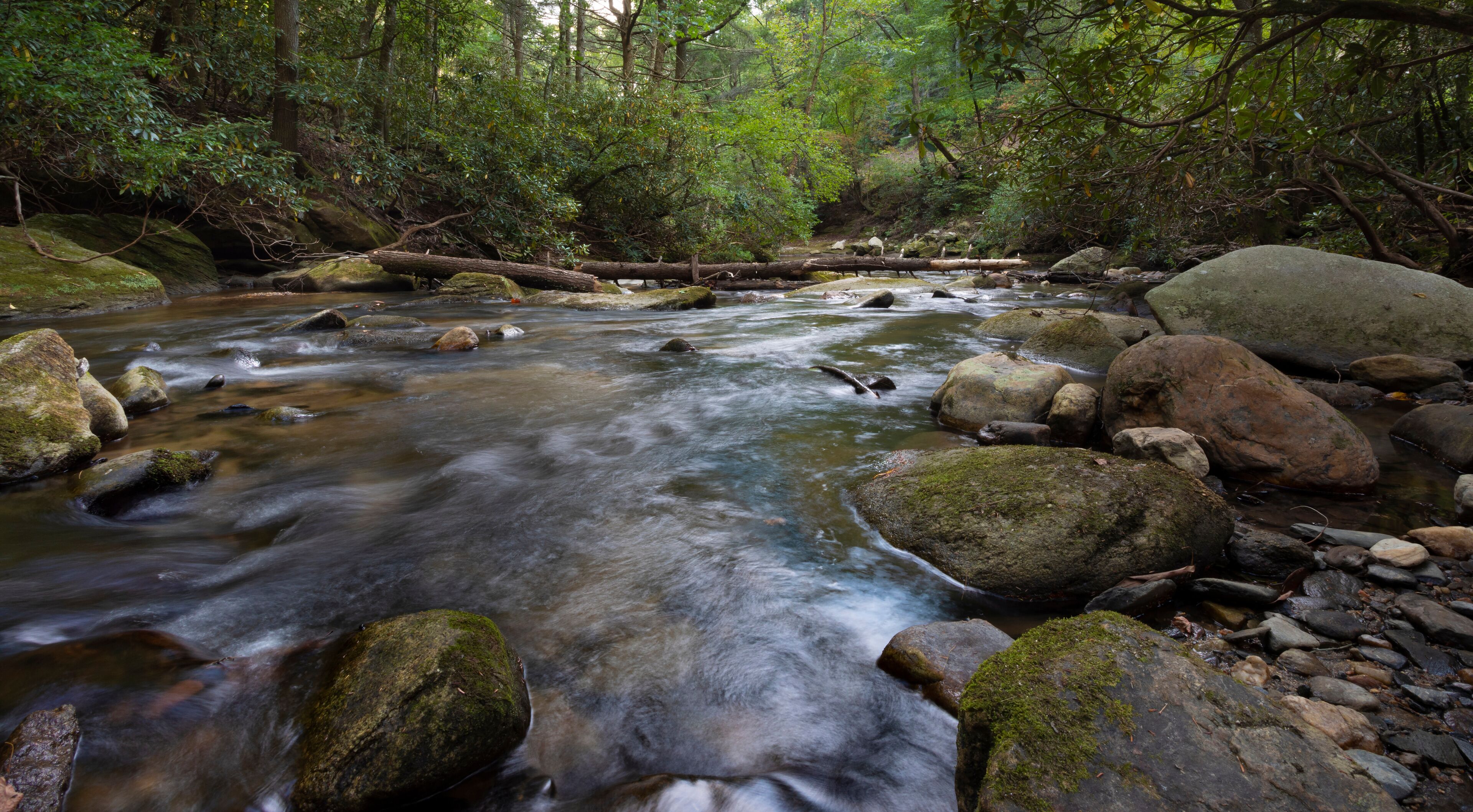 A flowing river with rocks and moss-covered boulders in a forested area.