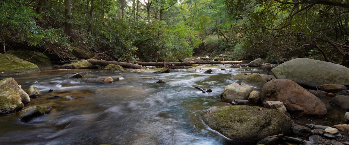 A flowing river with rocks and moss-covered boulders in a forested area.