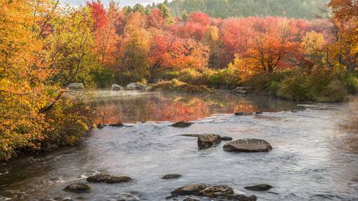 The Millers River on a fall day in Royalston, Massachusetts