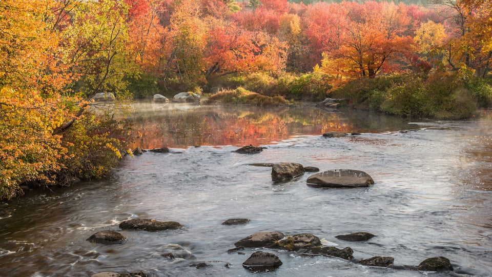 A river with rocks and autumn-colored trees reflecting in the water.