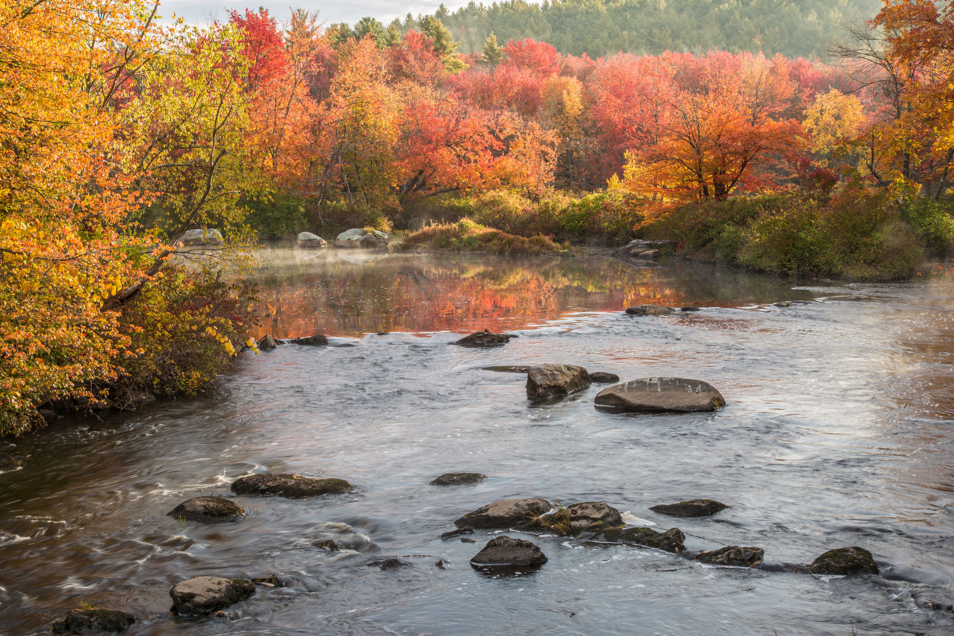A river with rocks and autumn-colored trees reflecting in the water.