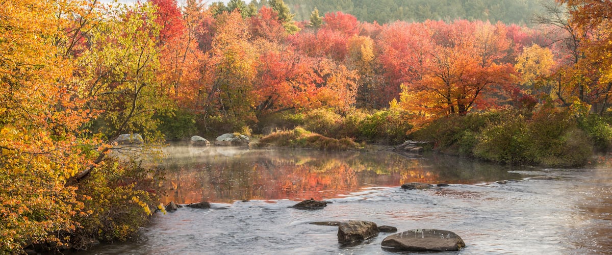 A river with rocks and autumn-colored trees reflecting in the water.