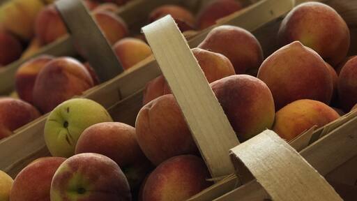 Fresh North Carolina peaches - tasted as amazing as they look!