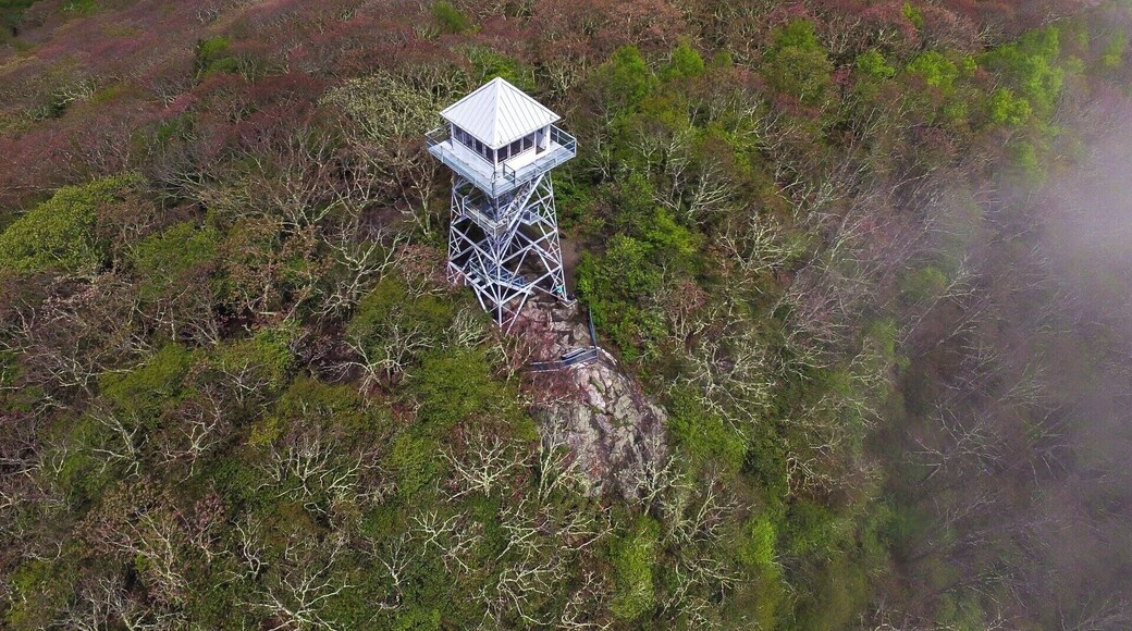 An easy 1/2 mile hike gets you to the top of Albert Mountain and the historic fire tower. Epic views in every direction can be found. For a video guide of the hike to Albert Mountain, please visit: https://www.hdcarolina.com/episode/albert-mountain-fire-tower