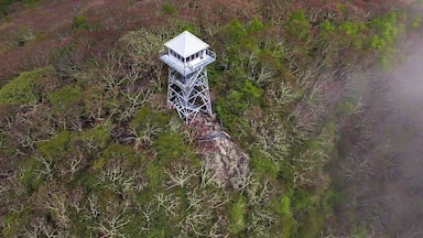 An easy 1/2 mile hike gets you to the top of Albert Mountain and the historic fire tower. Epic views in every direction can be found. For a video guide of the hike to Albert Mountain, please visit: https://www.hdcarolina.com/episode/albert-mountain-fire-tower