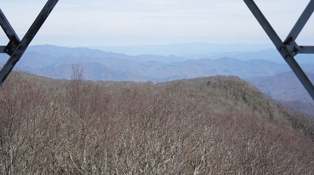 Day 14 of our Appalachian Trail thru-hike. We reached 100 miles on a beautiful day! Saw some great views after a REALLY steep climb to the Albert Mountain fire tower. —Follow us on Instagram for daily updates! @followtheswords—