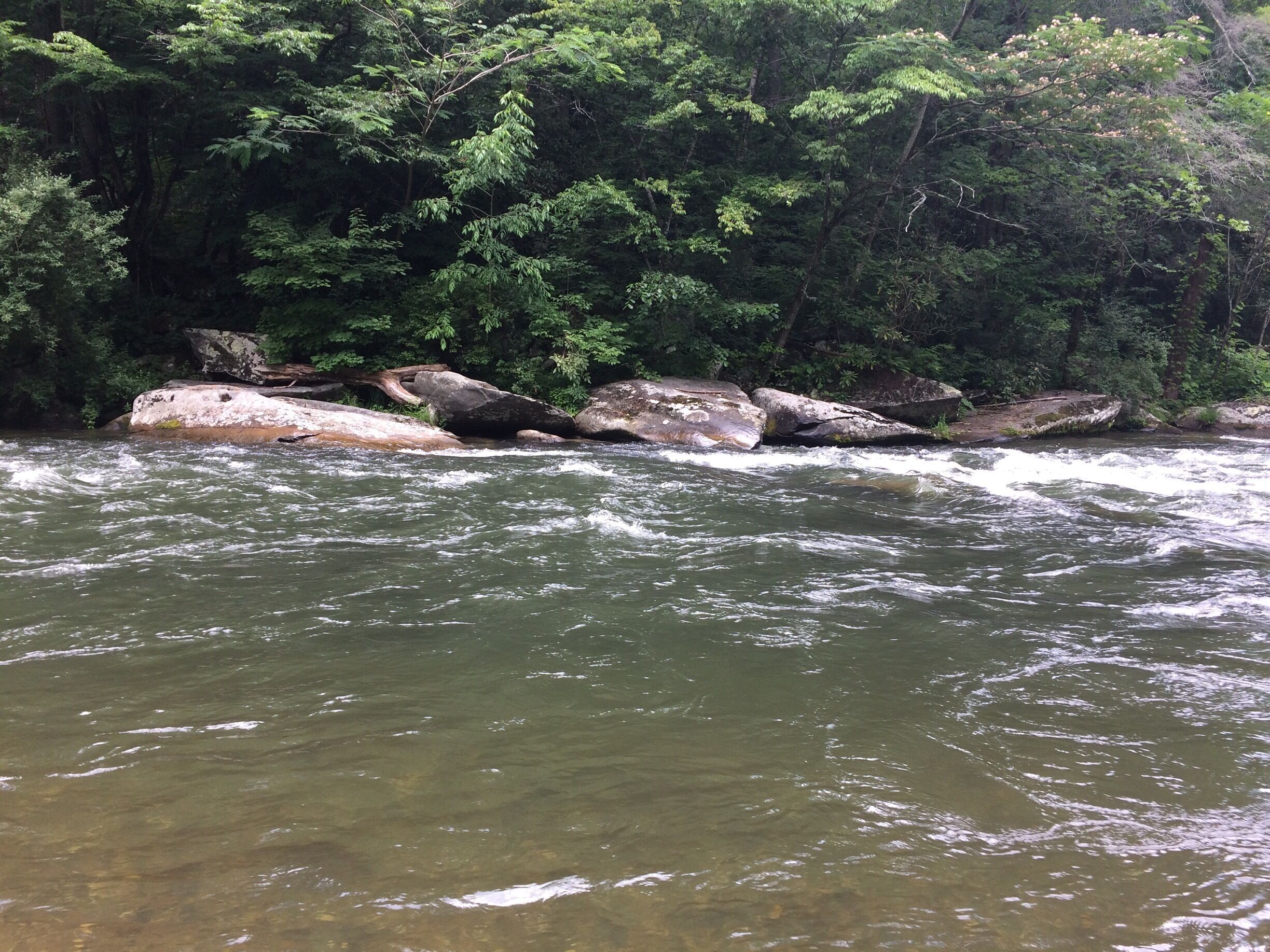 This beautiful spot is up about 1/2 mile from the Nantahala Outdoor Center in Bryson City, NC.