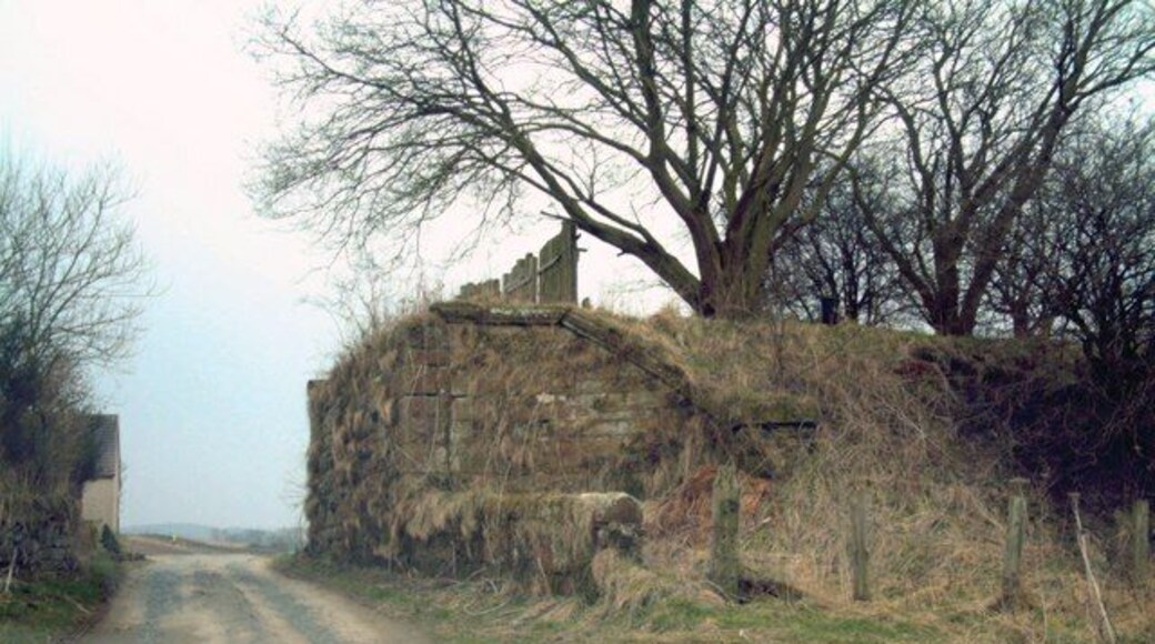 Old railway bridge. Seen from the north, this is all that remains of the bridge that one carried a railway over the road to Clentrie Farm