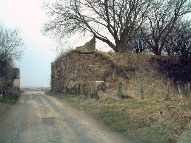 A rural road with a stone wall and leafless trees.