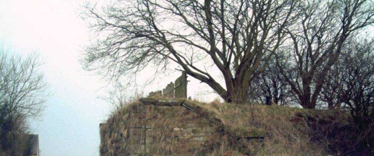 A rural road with a stone wall and leafless trees.
