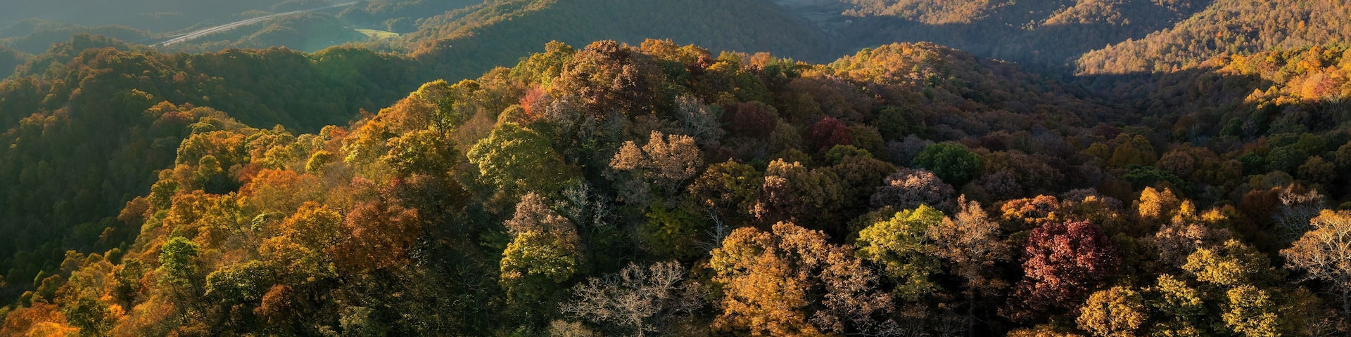 Wooded sunset hills of Appalachian mountains in North Carolina with lush and evergreen forest trees at fall season. Beauty of autumnal nature