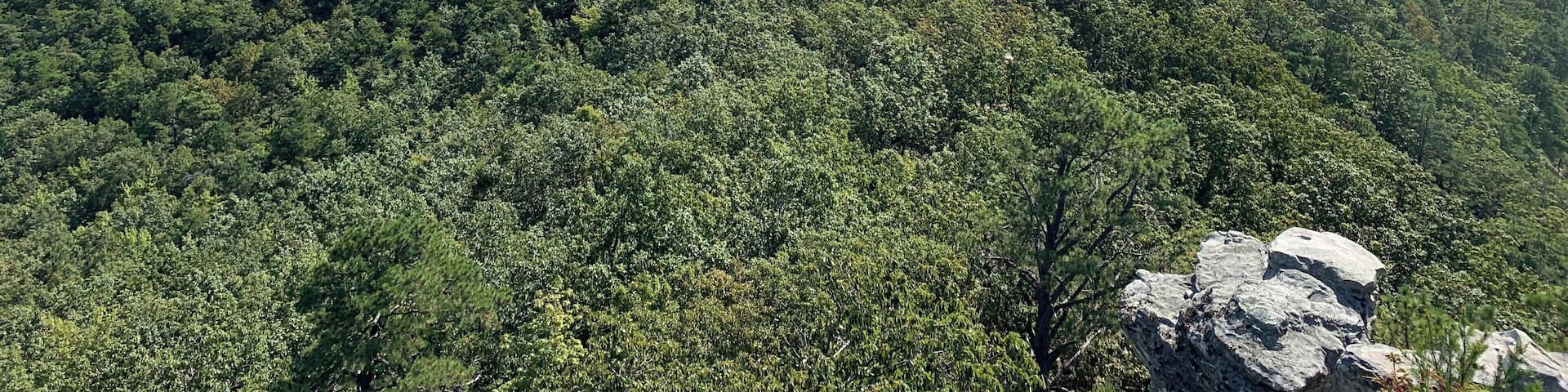 Pilot Mountain overlook with 360 views. #adventure