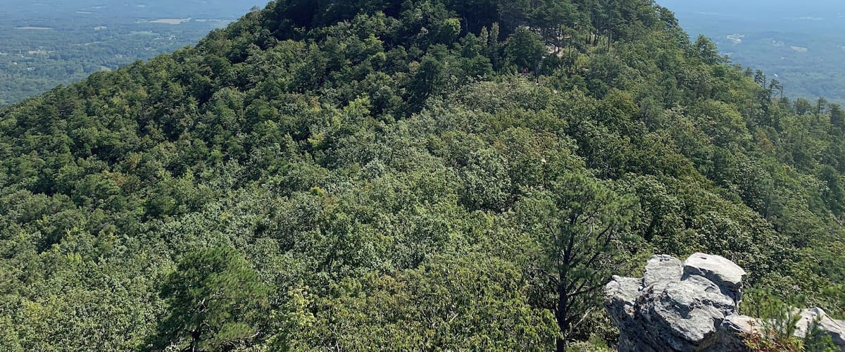 Pilot Mountain overlook with 360 views. #adventure
