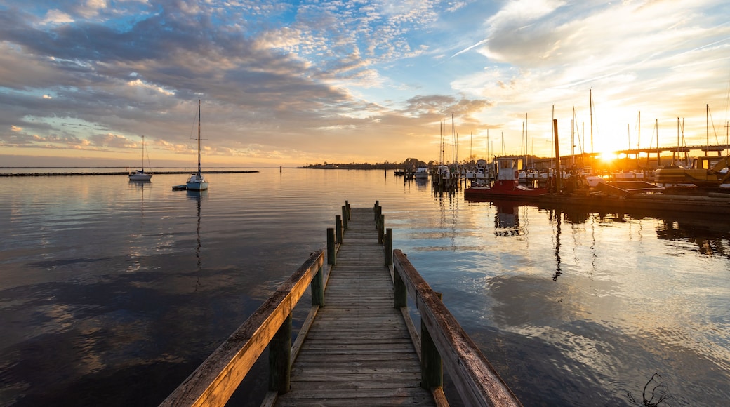 A wooden pier leading to a calm harbor with boats and a bridge in the background.