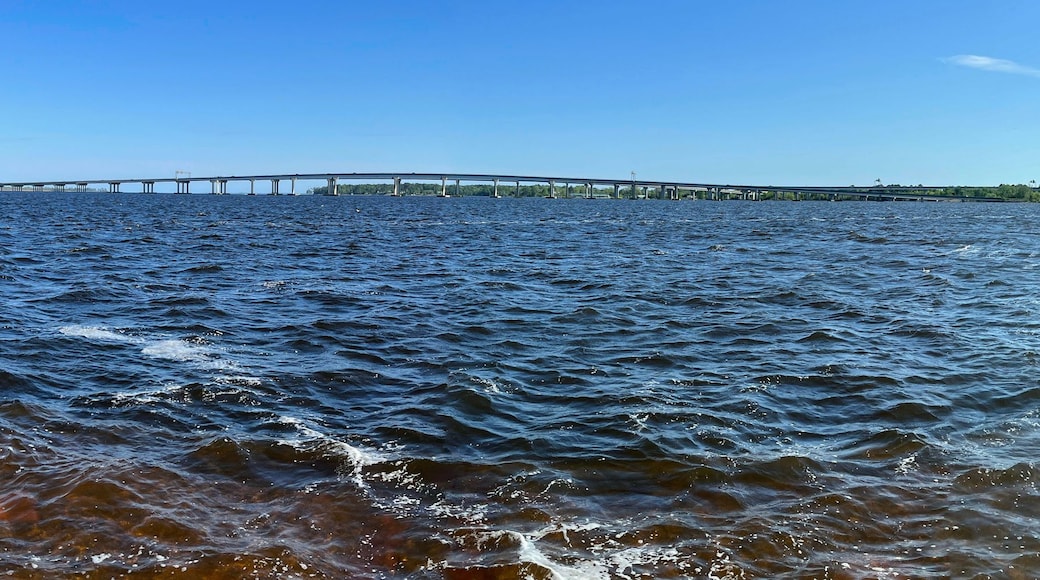 A river with waves, a bridge in the distance, and a metal railing on the right.