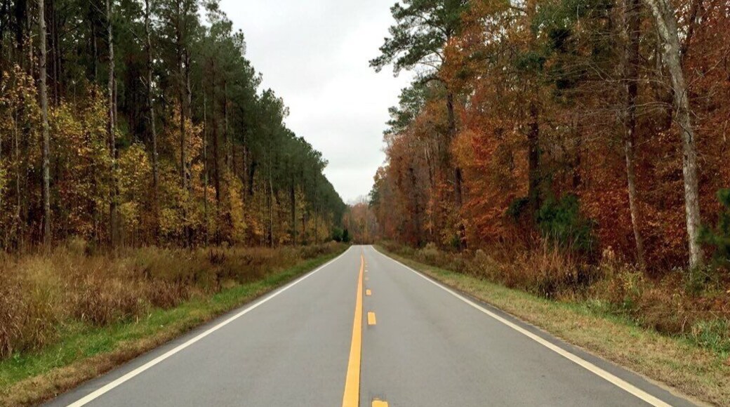 This is a stretch of Island Creek Rd that I just love 😊 pretty and picturesque