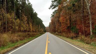 This is a stretch of Island Creek Rd that I just love 😊 pretty and picturesque