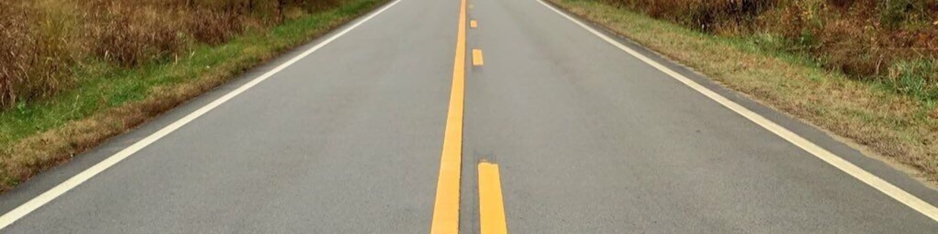 This is a stretch of Island Creek Rd that I just love 😊 pretty and picturesque