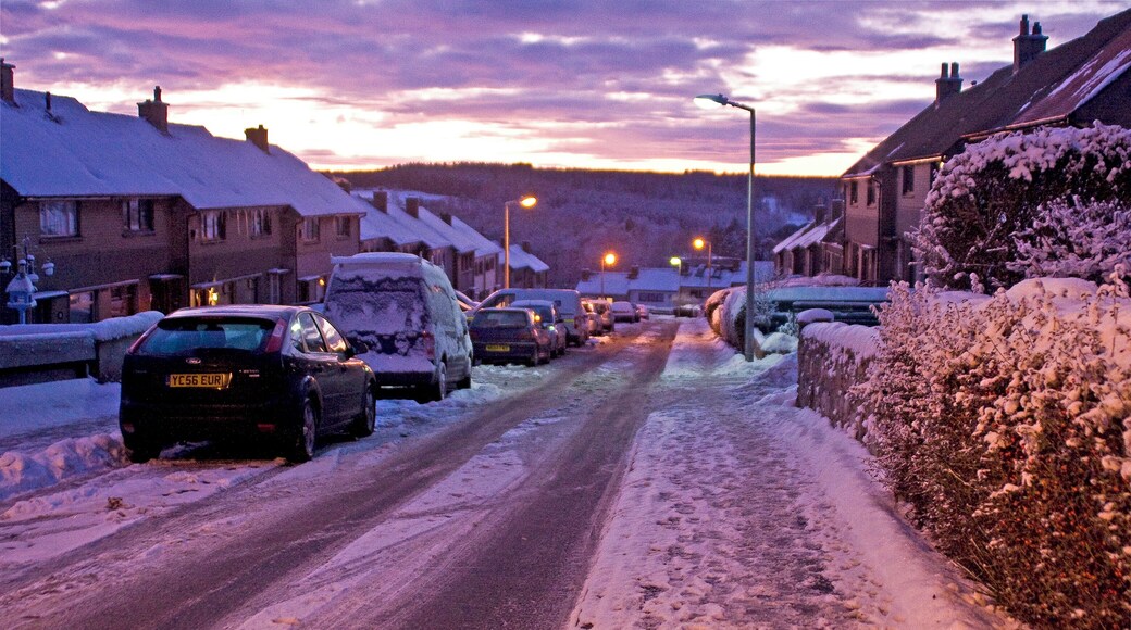 Dalmaik Terrace Peterculter