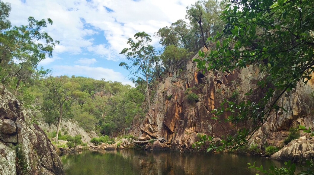 It requires jumping a fence and climbing through an old river bed but the view and swim are worth it. Crows Nest Falls are the perfect way to beat the heat in the Darling Downs region.