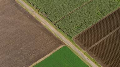 An aerial view of agricultural fields with distinct sections of crops and fallow land.