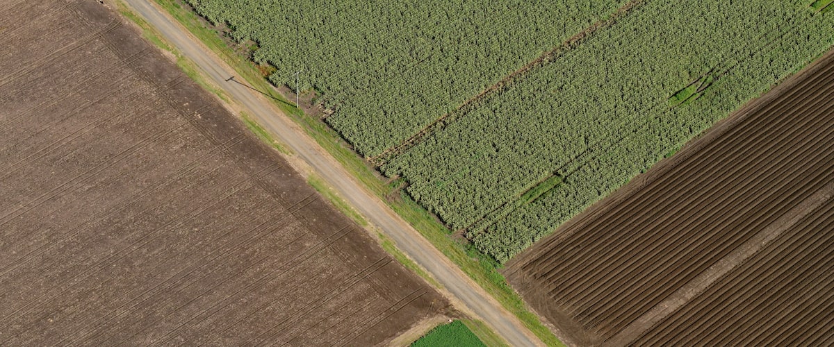 An aerial view of agricultural fields with distinct sections of crops and fallow land.