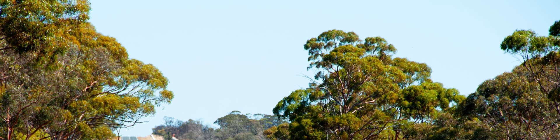 Goldfields Water Pipeline - Australia