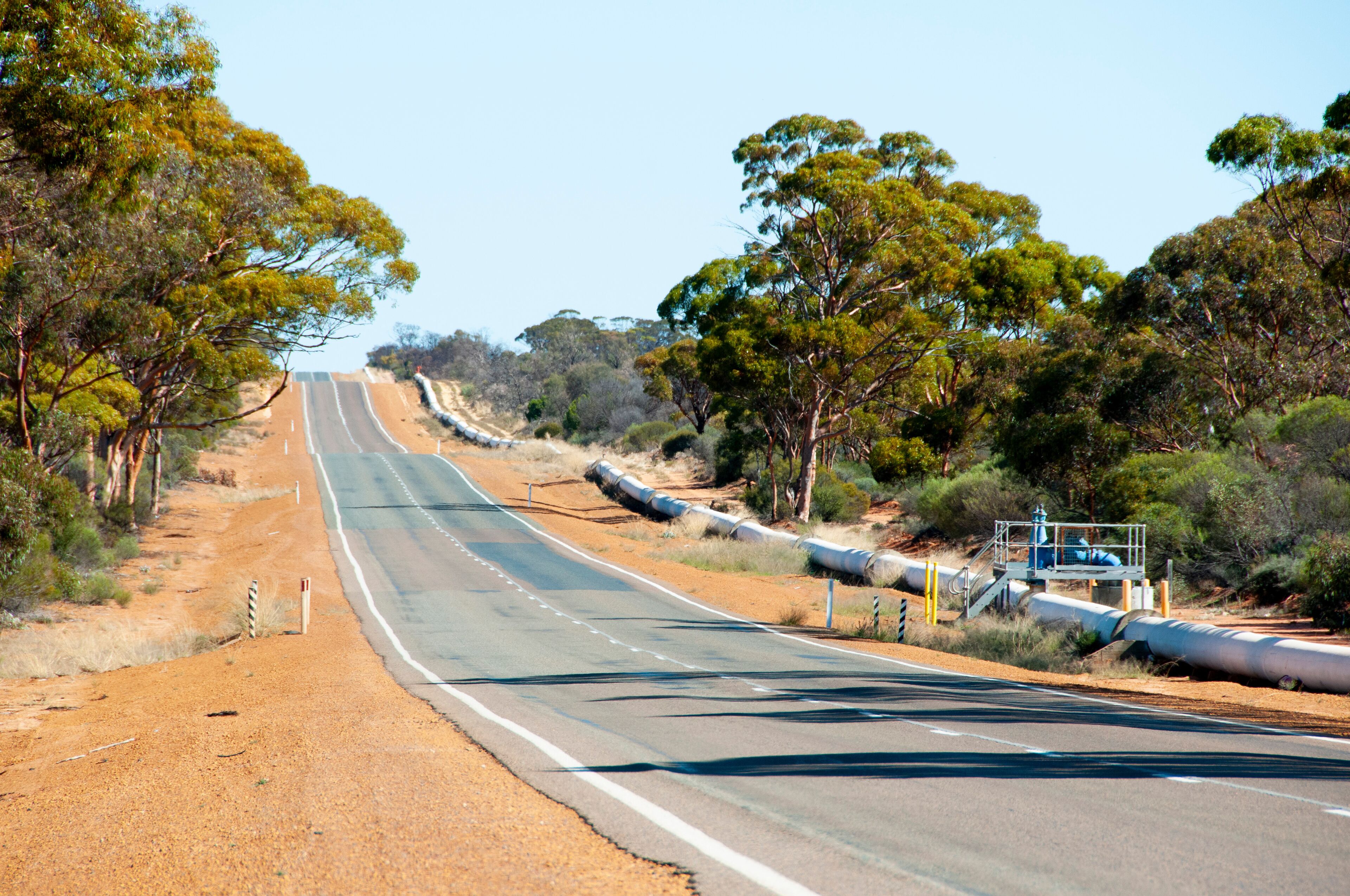 A long, straight road flanked by trees and utility poles.