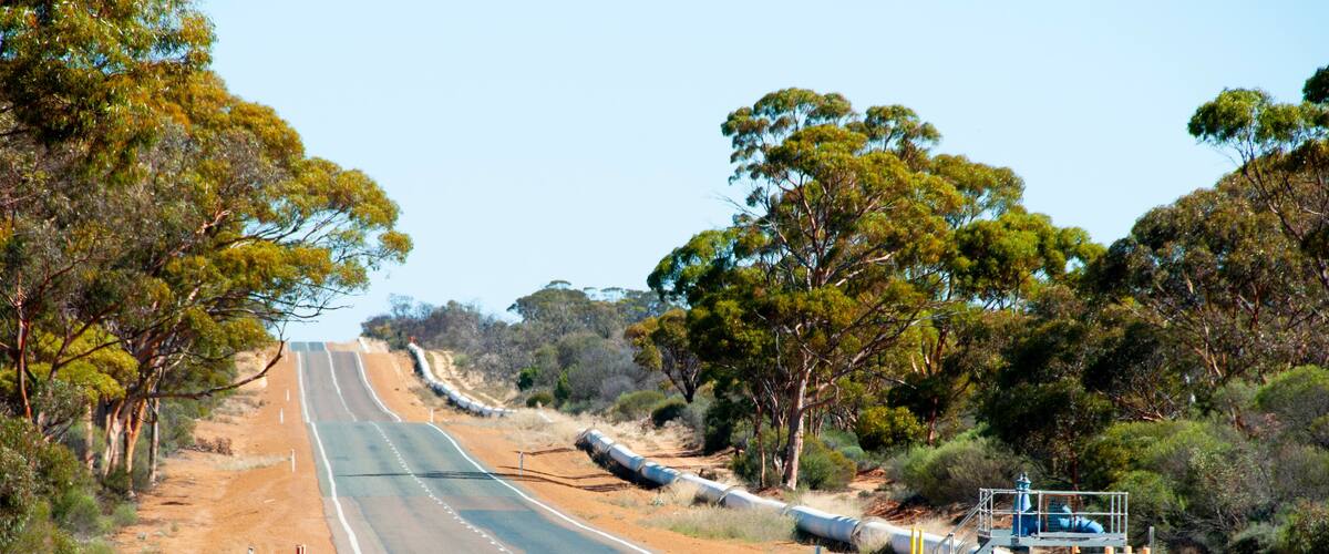 A long, straight road flanked by trees and utility poles.