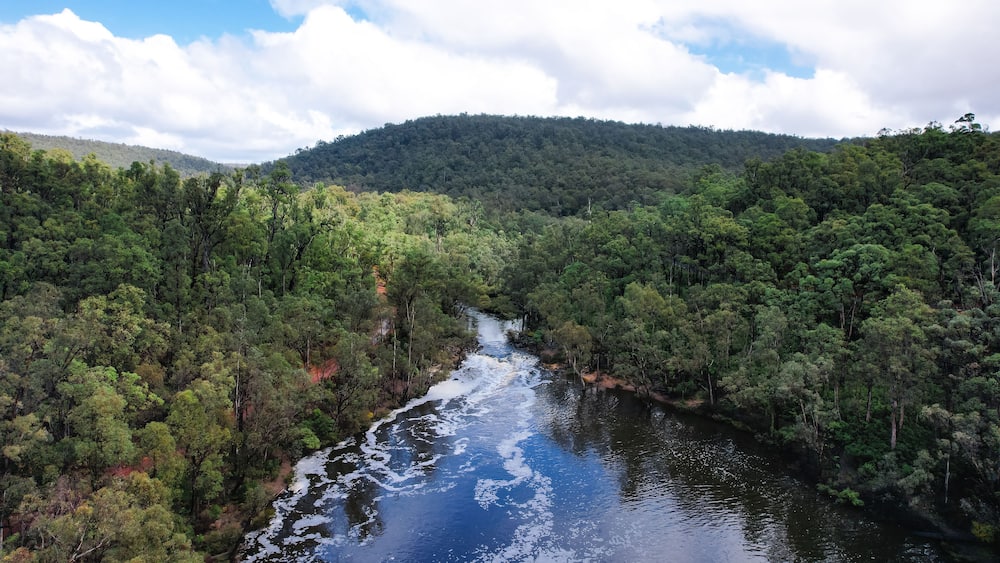 Aerial view of the Murray River and bush forests of Lane Poole Reserve in Dwellingup, Western Australia