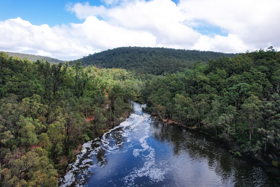 Aerial view of the Murray River and bush forests of Lane Poole Reserve in Dwellingup, Western Australia