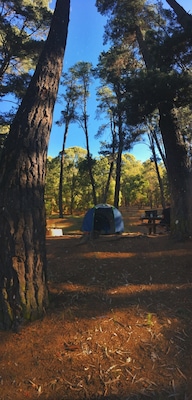 Nanga Mill campsite really nice 🌲