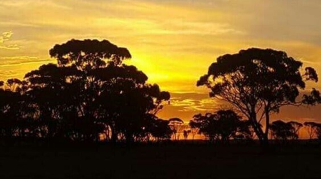 Lake Grace,a tiny outback town that has one little café ,with good wifi and air con ;)