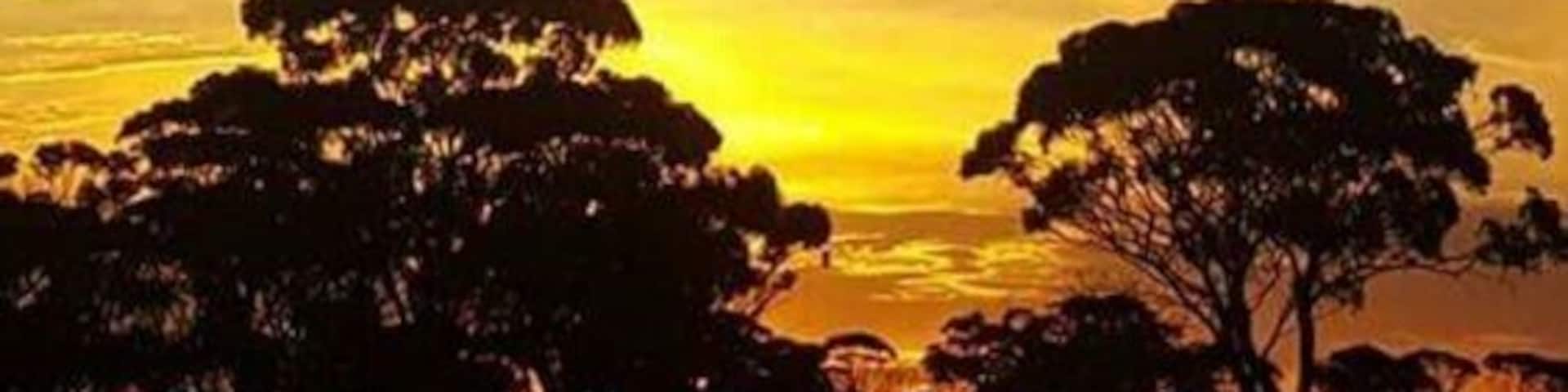 Lake Grace,a tiny outback town that has one little café ,with good wifi and air con ;)