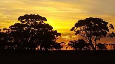 Lake Grace,a tiny outback town that has one little café ,with good wifi and air con ;)