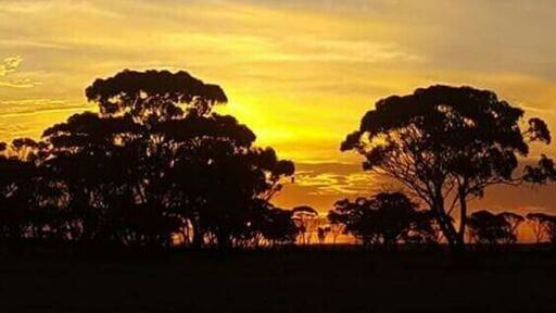 Lake Grace,a tiny outback town that has one little café ,with good wifi and air con ;)